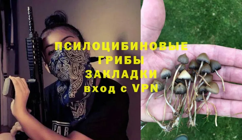 Псилоцибиновые грибы MAGIC MUSHROOMS  Высоцк 